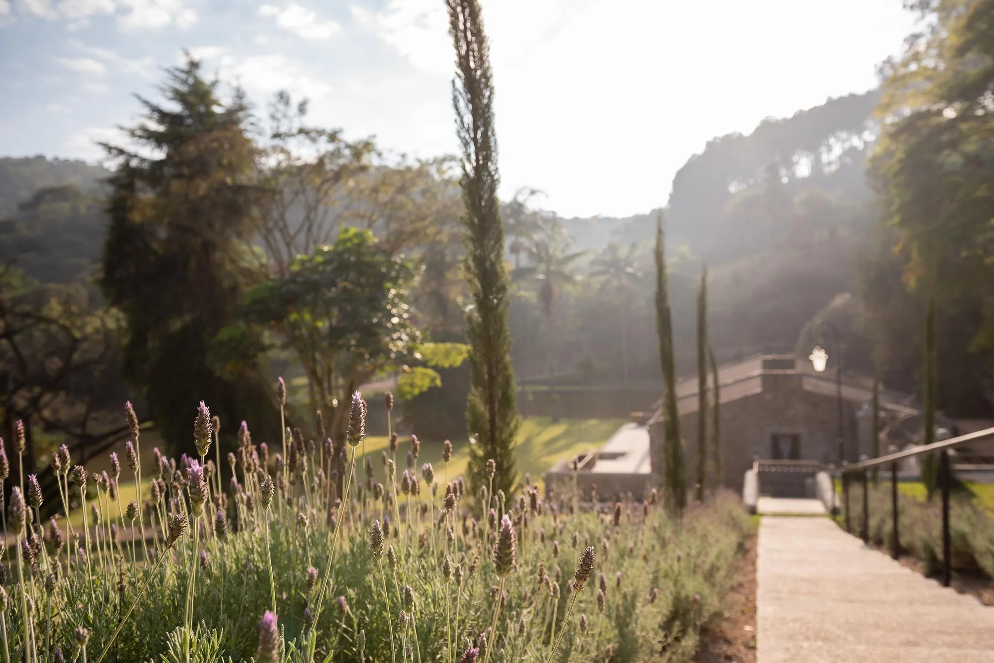 Cópia de 386c3dcd-7956-4f92-be1e-57a397bd59a6